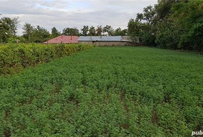 Casă cu 3 camere cu Teren 9228 Mp în Sălceni - 2