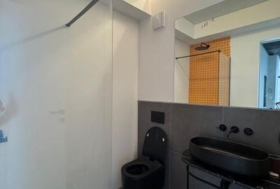 Loft spectaculos în complexul exclusivist Brick Loft - Intrarea Chefalului - 16