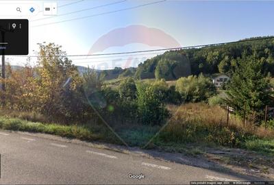 Teren Construcții intravilan de 7797 mp, în Podiș - 3