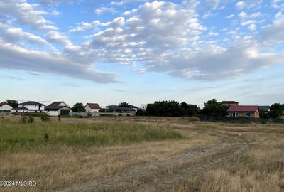 Tamasi, langa padure, 12.824 mp, deschidere 45 ml, teren cu potential! - 8