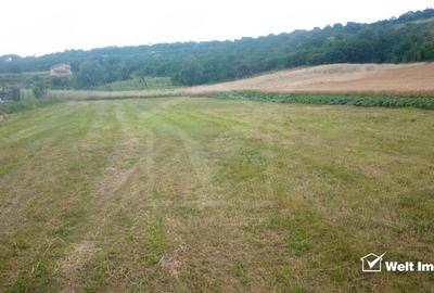 Teren Corpadea, intravilan, pretabil proiect imobiliar, 8700 mp - 2