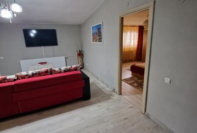 Vila 10 camere Dristor / Park Lake / Piscina Curte 430 mp - 11