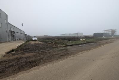 Clinceni- Mondelez-Chipita (Domnești, Prelungirea Ghencea, Bragadiru) - 4