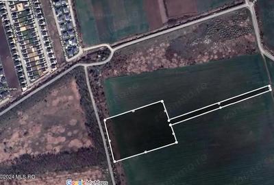 Corbeanca - Tamasi, intravilan, 16562 mp, deschidere 93 m, rezidential - 8