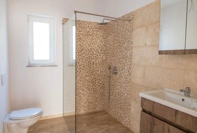 Casă cu 4 camere în Șagu - 7