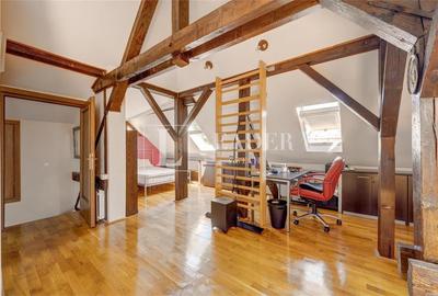 Vanzare vila consolidata si renovata | Parcul Circului - 23