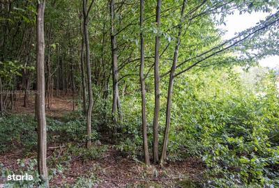 Spațiu comercial, în Vulcan - 1