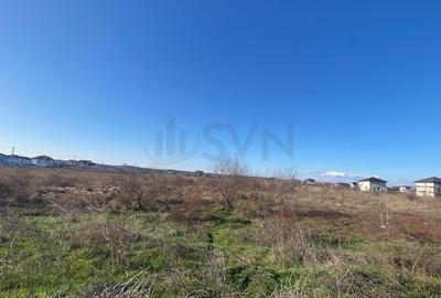 Teren Construcții intravilan de 6500 mp, în Central - 3