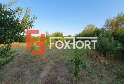 COMISION 0% Duplex complet, 327 mp utili si teren de 2869 mp, zona Freidorf - 31
