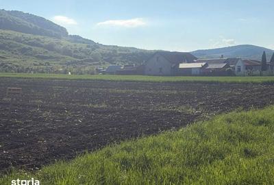 Teren de 2500 mp, în Șieu - 2