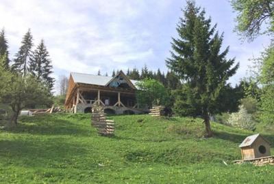 Casă cu 3 camere în Brodina - 4