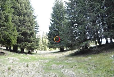 Terenuri speciale Padina Busteni, sunt dispuse ca o veritabi - 1