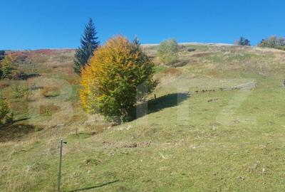 Super Oferta 5.2 euro/mp. Teren de vanzare in zona Arieseni - 2