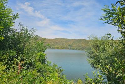 Casa de vacanta  langa lacul Cincis - 10