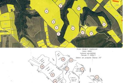 Spațiu comercial, în Rasova - 4