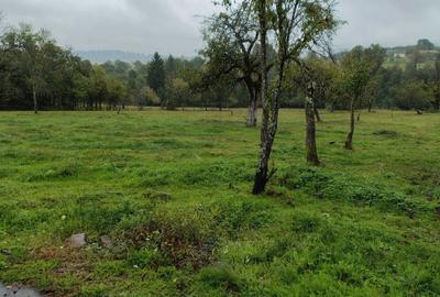 Casă cu 3 camere în Vârfurile - 5