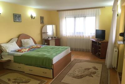 NOU* Vila 350mp cu teren 2000mp in Bucium ! - 11