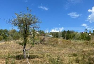 Teren Intravilan, zona Vulcana de Sus - 1