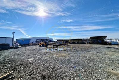 Spațiu comercial, în Albina - 3