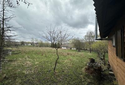Teren de 12200 mp, în Vicovu de Jos - 5