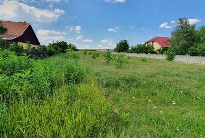 Teren de 1000 mp, în Războieni - 3