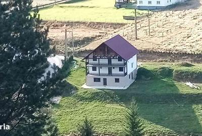 Casă cu 4 camere cu Teren 3808 Mp în Mestecăniș - 1