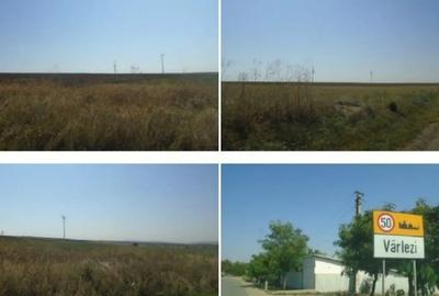 Teren de 5000 mp, în Vârlezi - 1