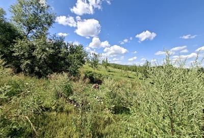 Teren Construcții intravilan de 3500 mp, în Sângeorzu Nou - 1