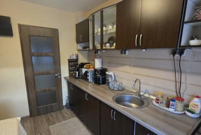 Apartament 2 camere, Timisoara, Parc Padurice, LIDIA - 10
