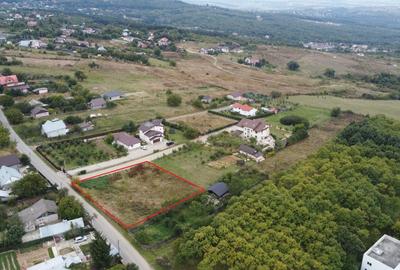 Teren de 28500 mp, în Păun - 4