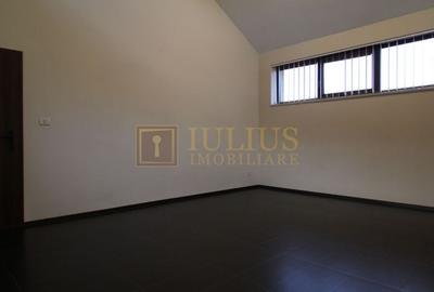 Cetatii; 5 camere, spatiu depozitare, garaj, curte, ideal pentru sediu firma. - 19