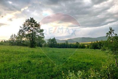 Teren 4,223mp Zarnesti - Tohanita - 28