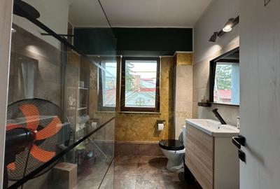 Vanzare - Proprietate cu Potential-Locuinta si Business - 14