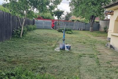 Casă cu 3 camere cu Teren 1125 Mp în Șerbănești - 5