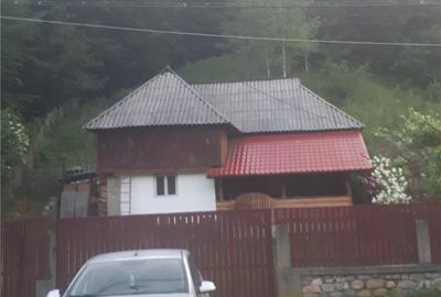 Teren de 2000 mp, în Bradu - 8
