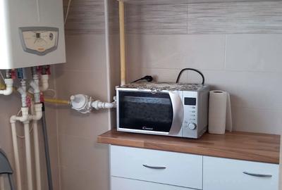 Garsonieră decomandată în Barieră - 8