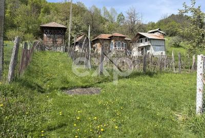 Teren Construcții intravilan de 14613 mp, în Bârseștii de Sus - 1