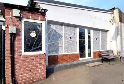 Spațiu comercial, de 108.05000305176 mp, în Tei - 1