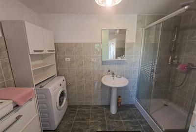 Casa individuala pe parter Sagului-Liviu Rebreanu - 8