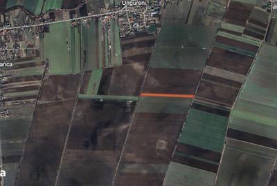 Teren de 10000 mp, în Butimanu - 2