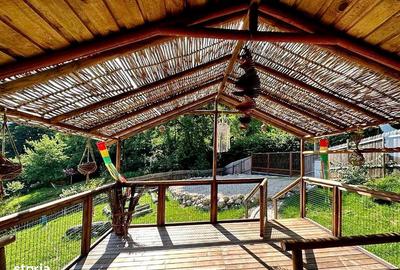 Teren de 2100 mp, în Părău - 4