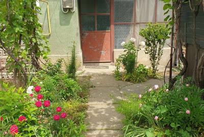 Casa de vanzare in Craiova pe Raului, teren mare - 2