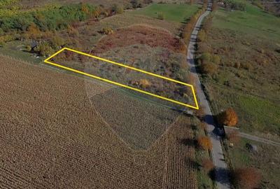 Teren agricol intravilan de 2556 mp, în Pădureni (Chinteni) - 8