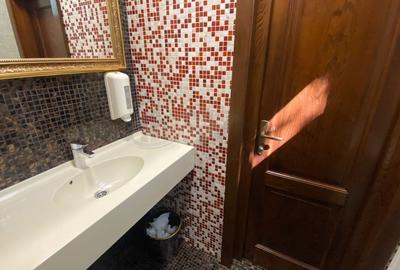 REC3001500 Restaurant de vanzare  Parcul Tineretului - 9