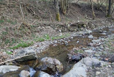 Spațiu comercial, în Hărțăgani - 11