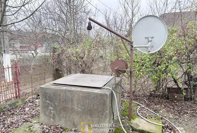 Teren de 3252 mp, în Tauț - 11