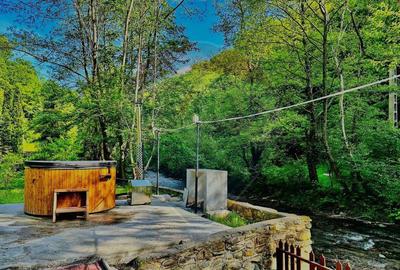 Cabana / casa de vanzare in Baisoara, 285 MP ! Piscina! C... - 3