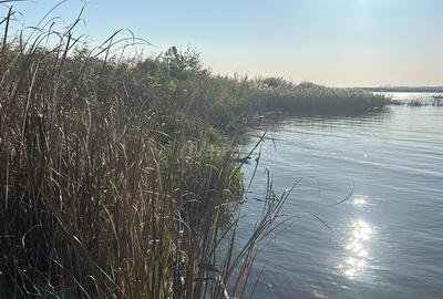 TEREN INTRAVILAN LA DUNARE sat. Macesti - 13