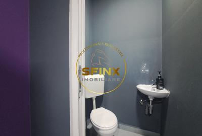 Spațiu comercial, de 236 mp, în Banu Manta - 9