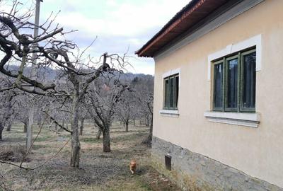 Casă cu 4 camere în Capu Coastei - 1